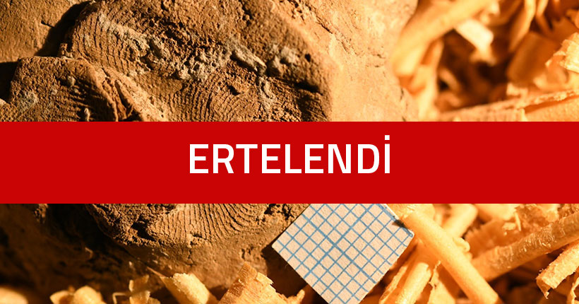 Kil Ustalarının İzinde: Arkeolojide Parmak İzi Analizleri