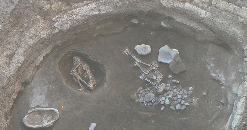 Mağaralardan Kromozomlara: İnsanın Tarihi Yeniden Oluşturulurken